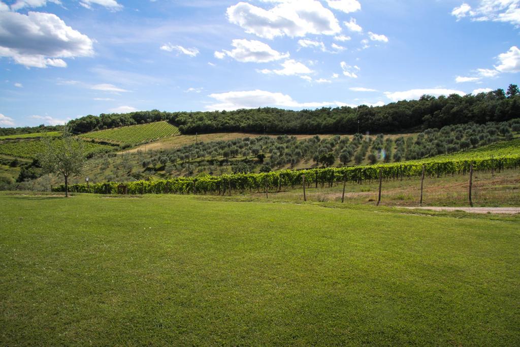 Farm stay Panzanello