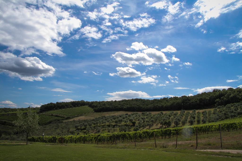 Farm stay Panzanello Panzano in Chianti